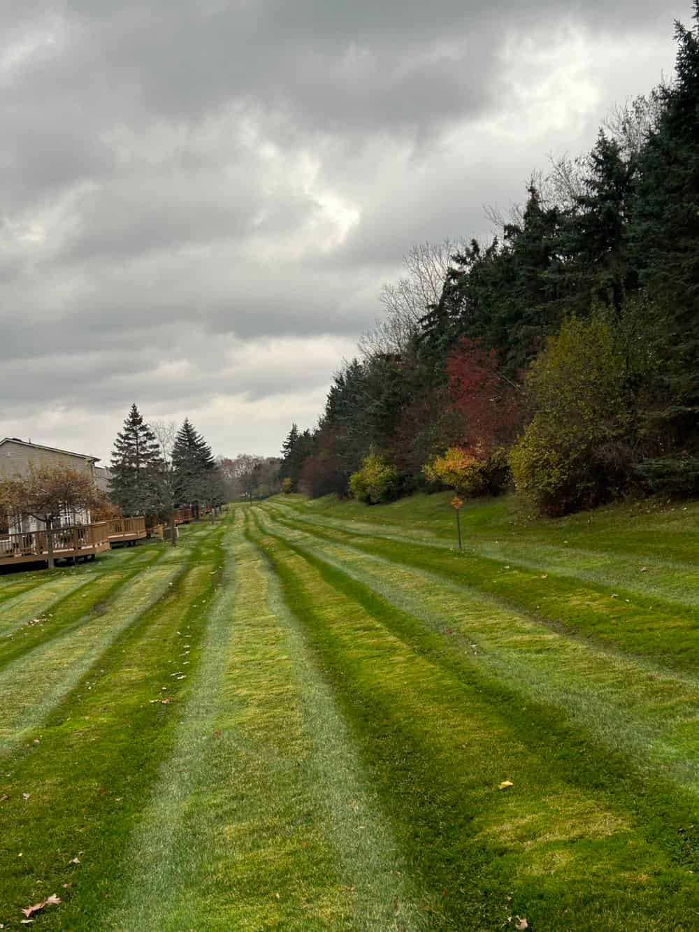 Residential & Commercial Lawn Maintenance image